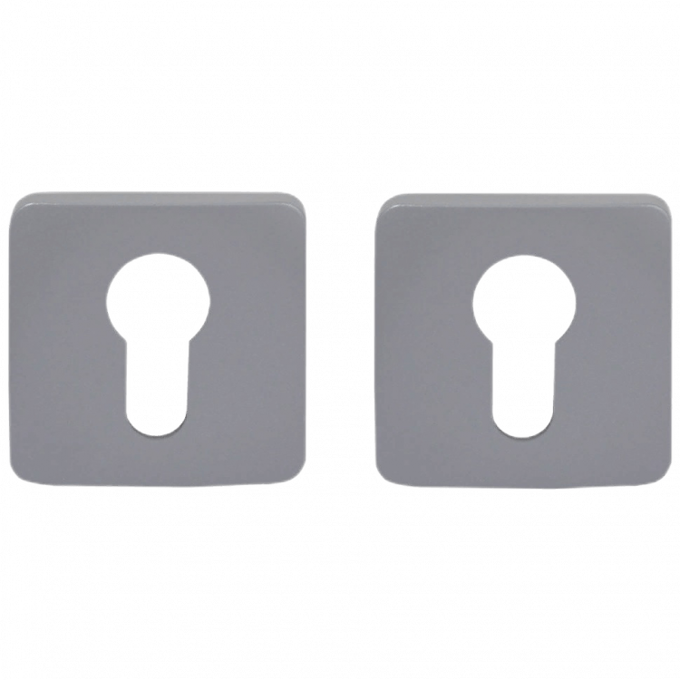 Накладка под цилиндр Colombo Design Rosetta OneQ CC23 серебро 2 шт