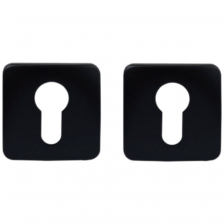 Накладка под цилиндр Colombo Design Rosetta OneQ CC23 титан 2 шт