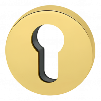 Накладка под цилиндр Colombo Rosetta CD43 GB золото